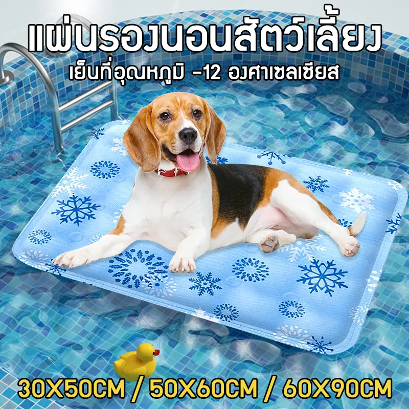 ที่นอนแมวราคาถูก ที่นอนแมว เบาะสัตว์เลี้ยง ที่นอนสุนัข ที่นอนแมวน่ารักๆ แผ่นเจลเย็นแมว 30*50/50*60/60*90CM