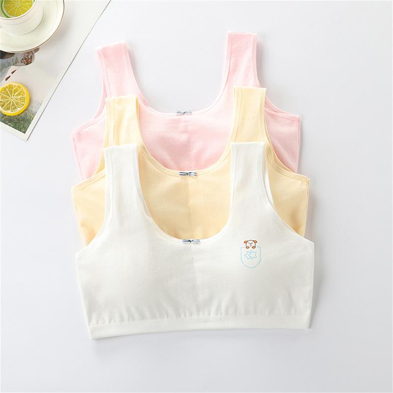Product Introduction of Áo Ngực Không Gọng, Dành Cho Nữ Tuổi Teen, Không Có Gọng, Thích Hợp Cho Thời Kỳ Phát Triển, Học Sinh Và Nữ Tuổi Teen, Màu Trắng, Đồ Lót Thoải Mái, Áo Ngực Cho Bé 19