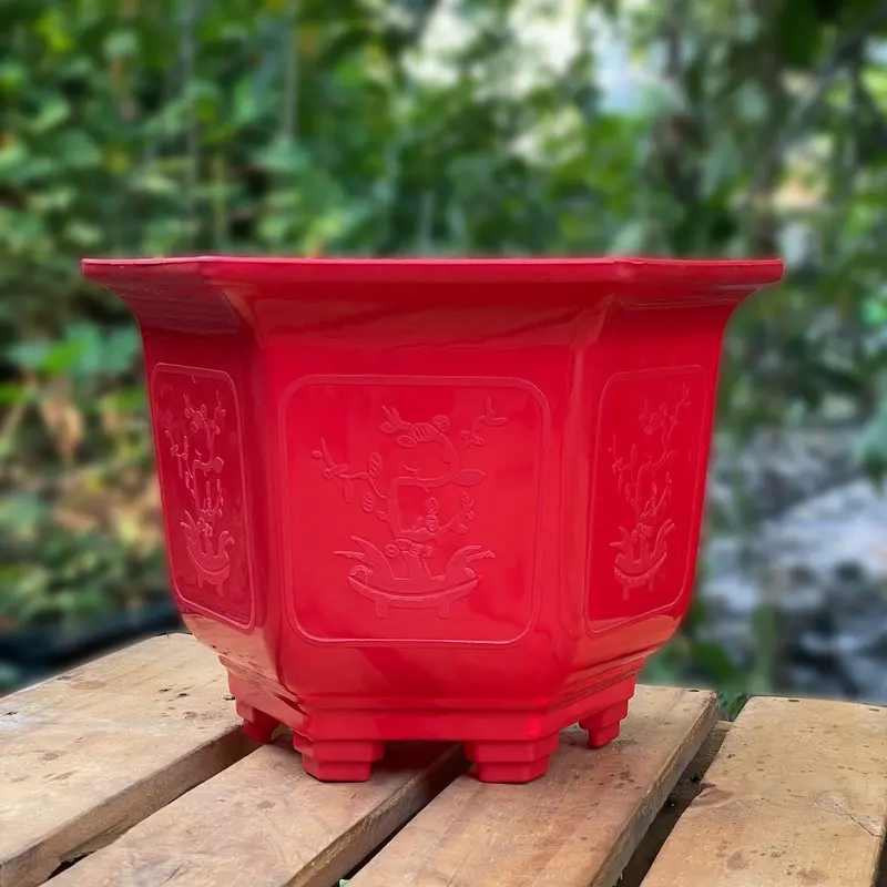 [5 Cái] Chậu Nhựa Lục Giác 280 (31x22) + Tặng 1 Chậu LG250 1
