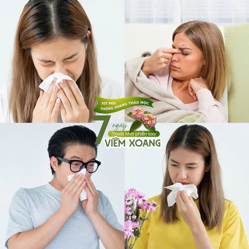 Xịt Mũi Thảo Dược 20ml Giúp - HỖ TRỢ VIÊM XOANG, VIÊM MŨI, VIÊM ĐƯỜNG HÔ HẤP 3