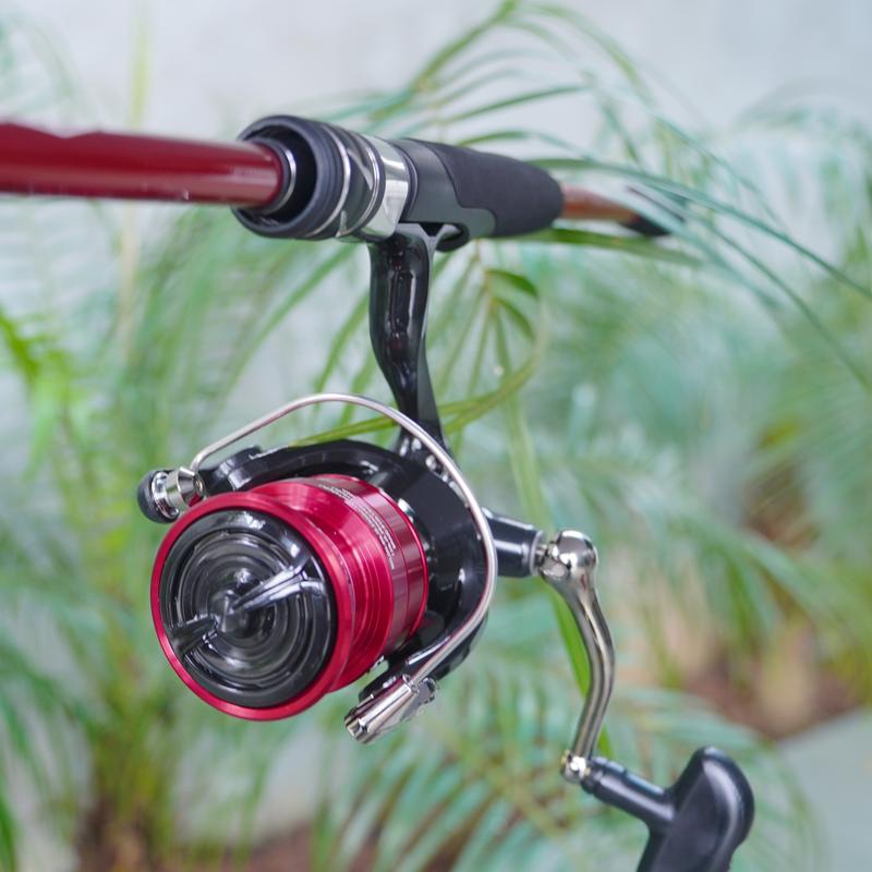 [LK HÒA]  BỘ 2 SẢN PHẨM CẦN CHEAP VÀ MÁY DAIWA MG, BỘ 2 CẦN CHUYÊN CÂU LURE