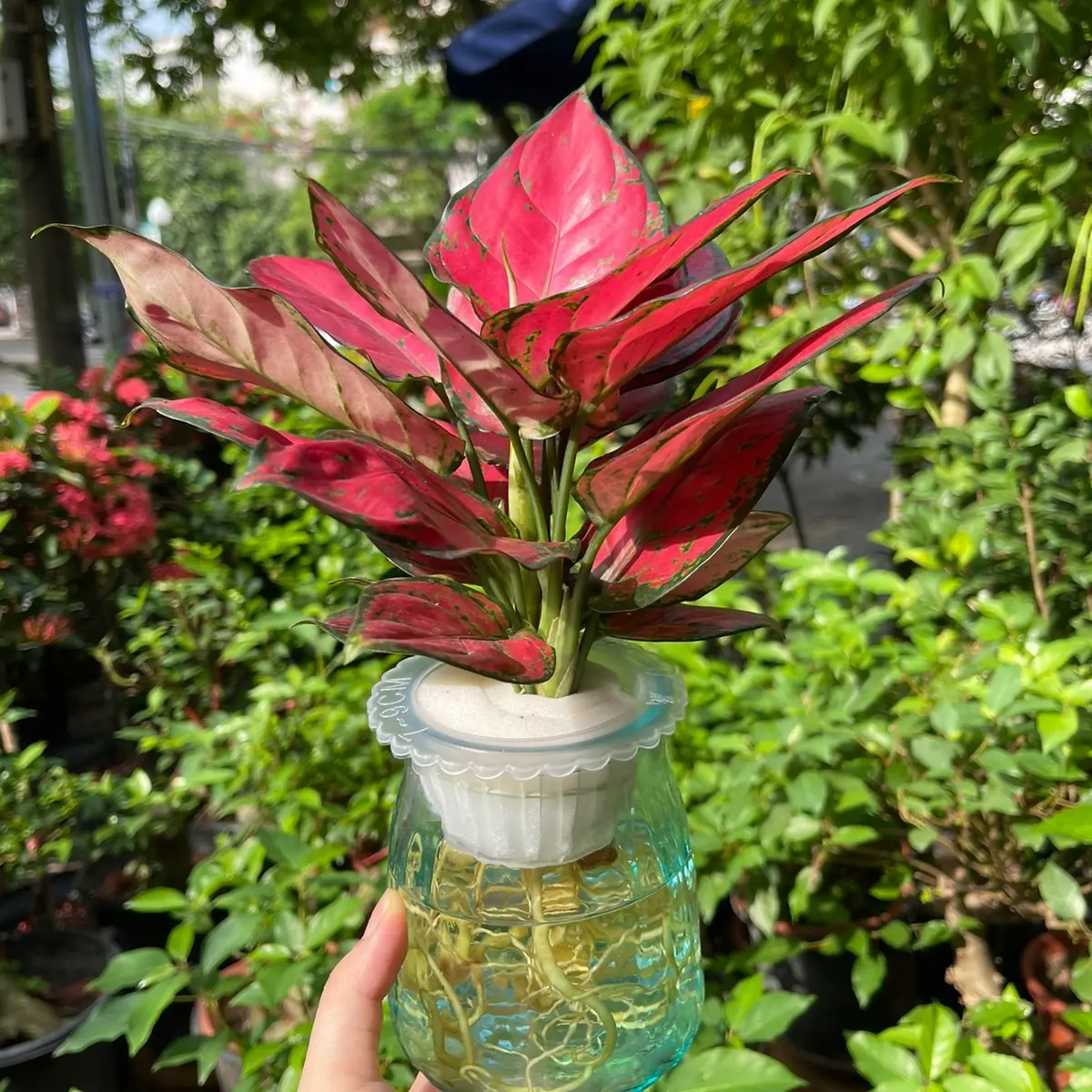 Vạn lộc thuỷ sinh bình sứ