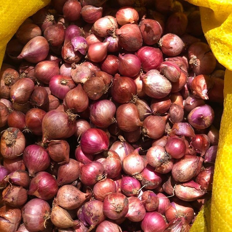 Hành Tím Vĩnh Châu.Hành rời 1kg.. 1