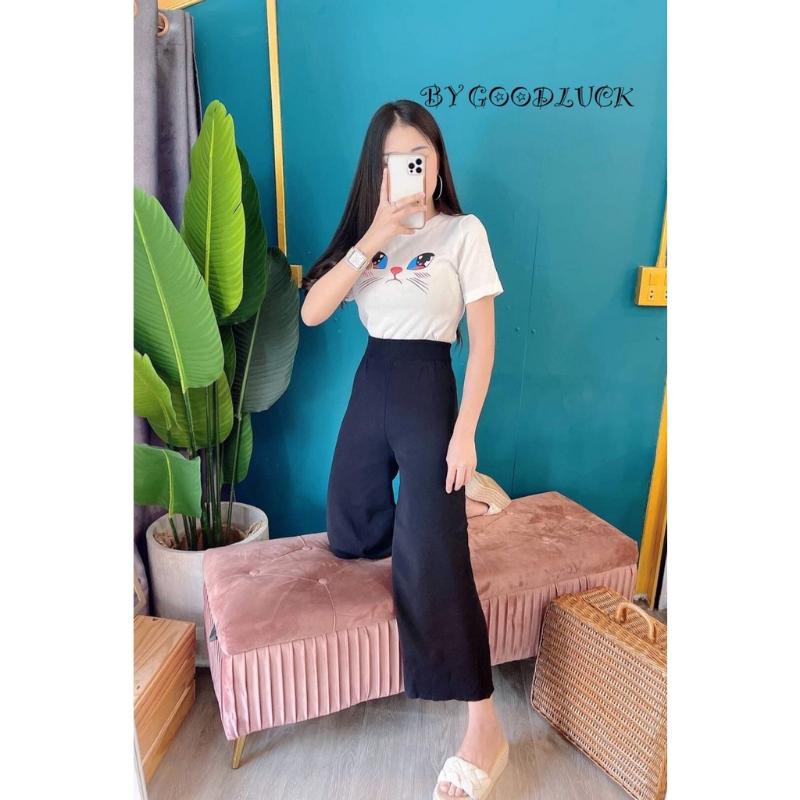 Product Introduction of SpinnyHouse ชุดเซ็ต จ้าวเหมียวน้อย เสื้อยืดแขนสั้นแพ็คคู่มาพร้อมกางเกงขายาว เนื้อไหมพรม งานตรงปก แมวร่าเริง K103B 11