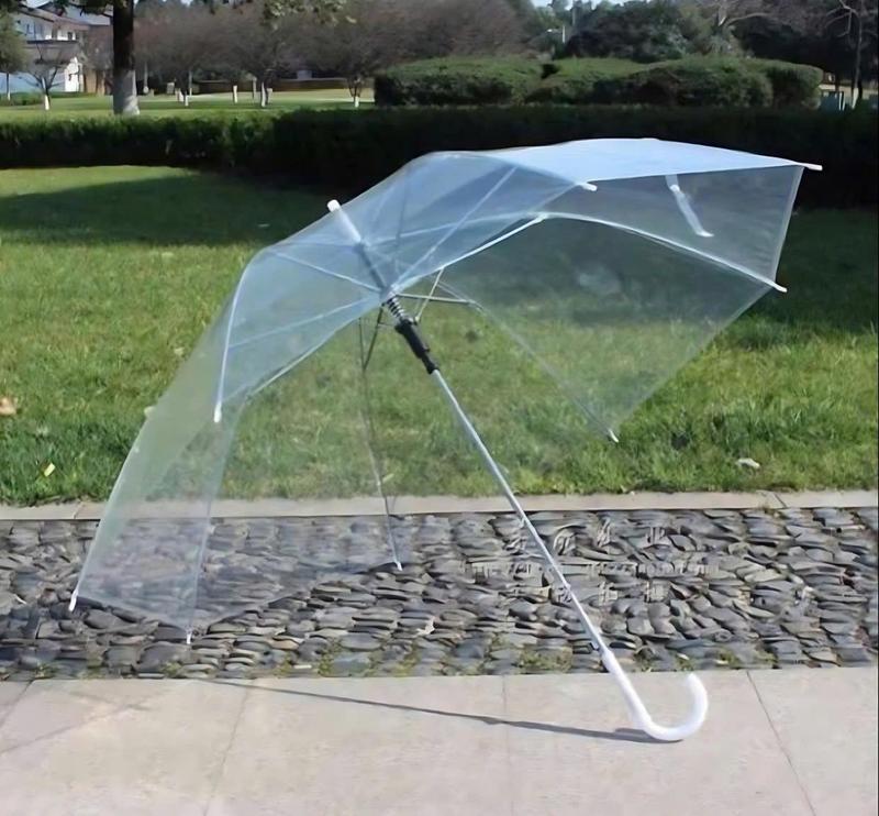  Ô dù  trong suốt màu trắng dù trong suốt - Ô Dù Trong Suốt Che Mưa Thời Trang Gấp Gọn Tiện Lợi 