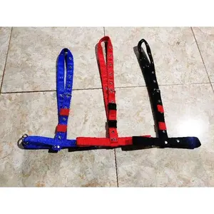 Brangus Sapi Pedet Kambing Domba Head Halter