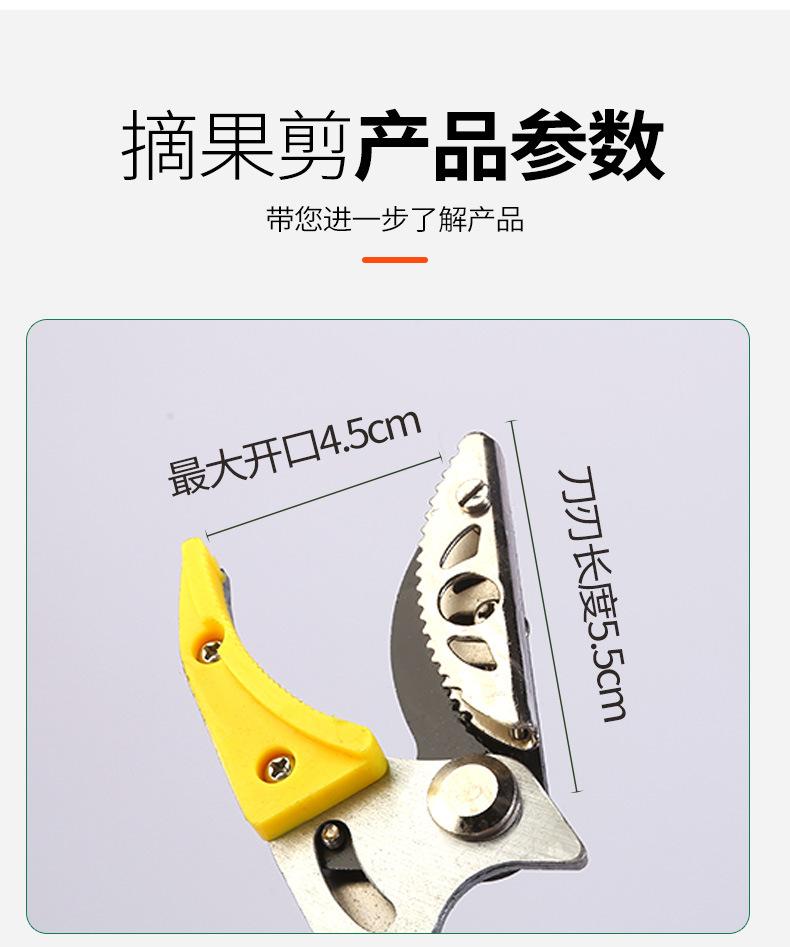 Product Introduction of Winda High Branch Fruit Picking Scissors Telescopic Fruit-Picking Device Gardening Scissor Litchi Longans Pomegranate Persimmon Picking Scissors Garden Tools 4