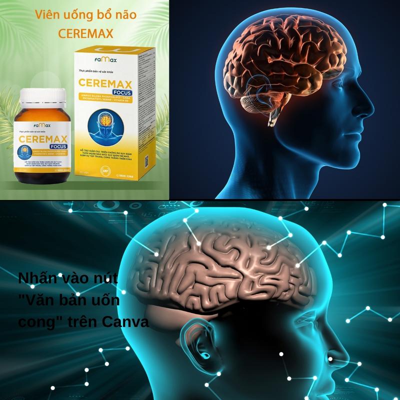 Viên uống bổ não Ceremax focus hỗ trợ hoạt huyết   biloba  bổ  não 1