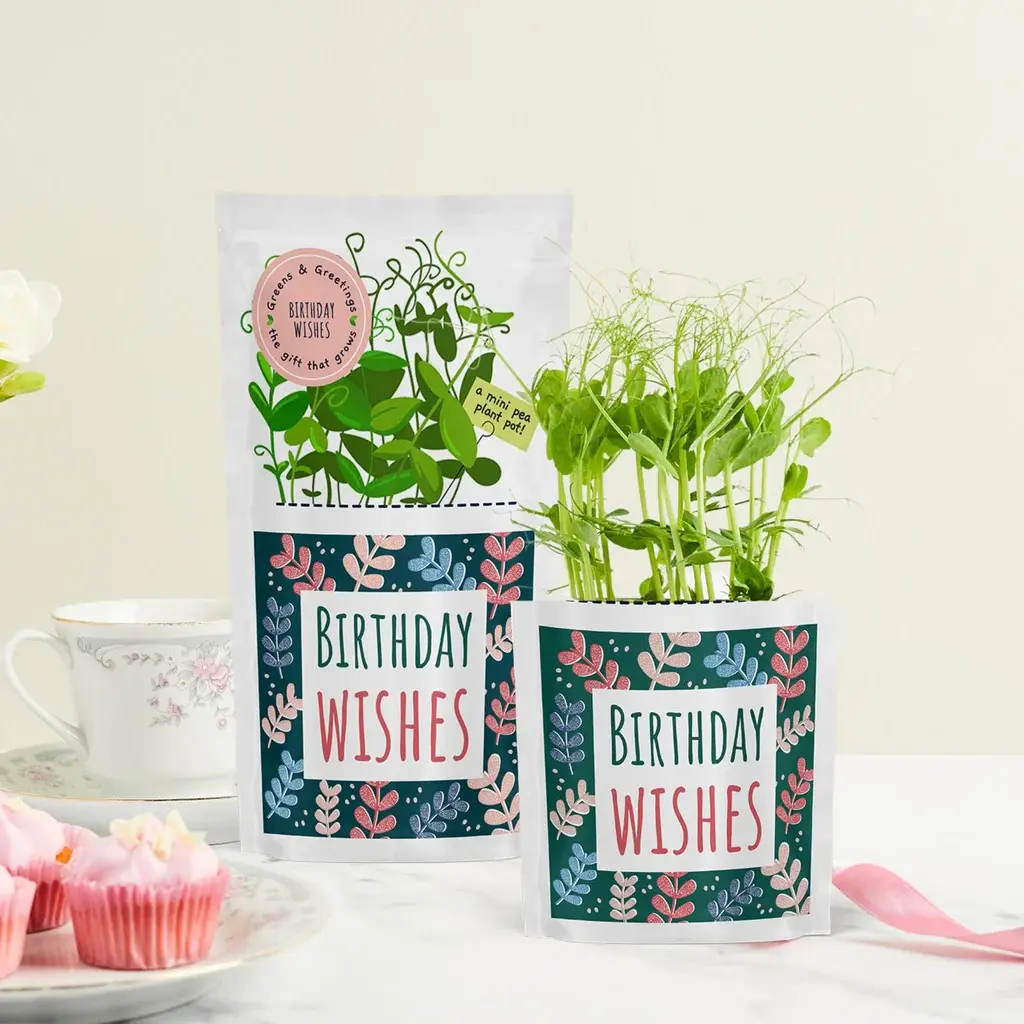 Birthday Wishes Greens & Greetings: Eco-Friendly Card and Seed Gift in One