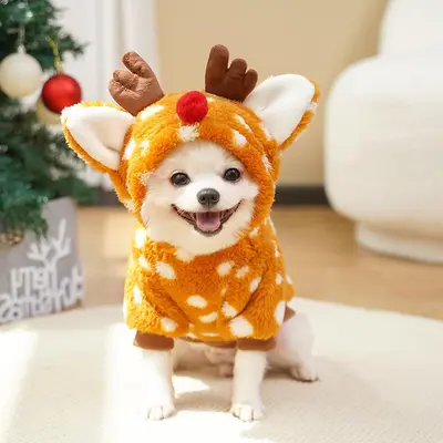 Pet xmas clothes best sale