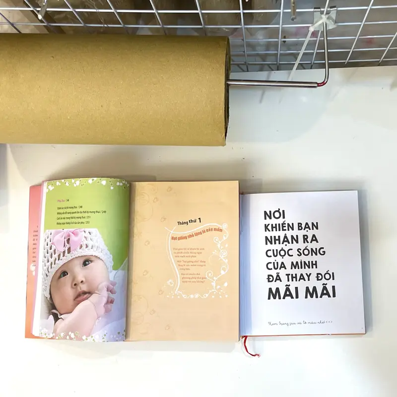 Combo Sách Thai Giáo Mỹ Thuật: Kích Thích Phát Triển Não Bộ, Tăng Cường Tư Duy Sáng Tạo Cho Thai Nhi | Nhà Đậu 4