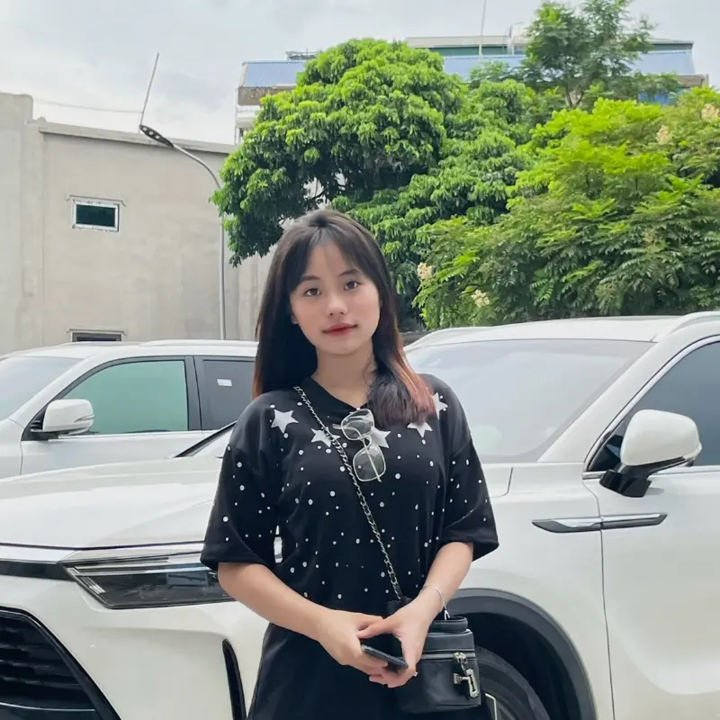 áo ngôi sao kim tuyến in 5D hai mặt cực chất New 2024 Unisex Nam Nữ menswear 2024 2