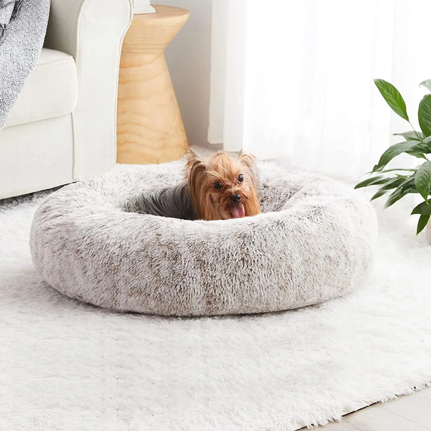 Gradient Cozy Plush Pet Bed with Non Slip Bottom Design, 1 Piece Warm ...