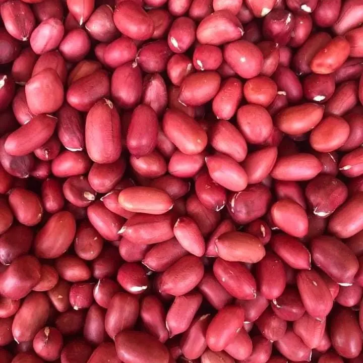lạc đỏ cả vỏ Compo 2kg khô vụ mới Thức Ăn 4