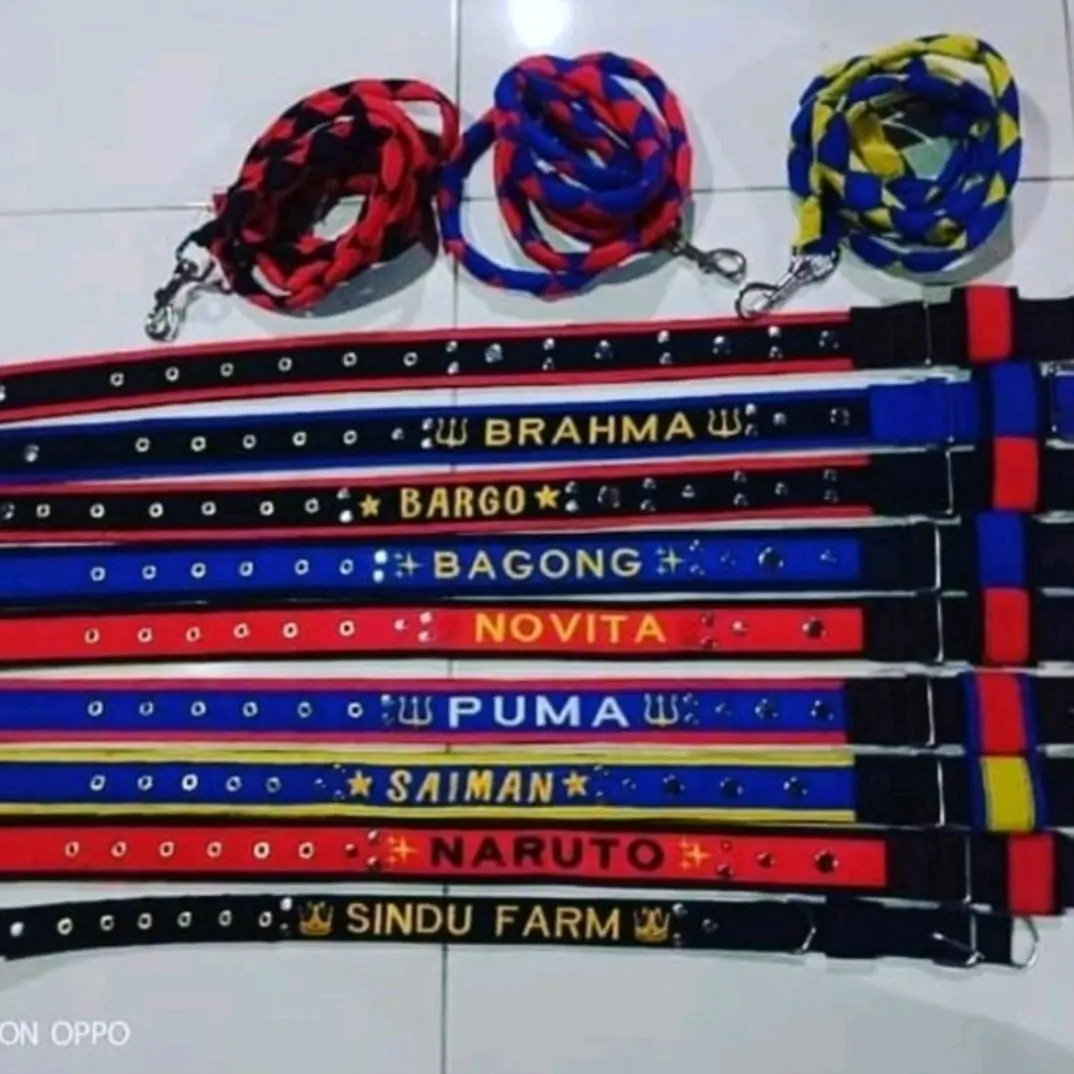 KALUNG KAMBING/KALUNG KAMBING MURAH/KALUNG KAMBING BAGUS