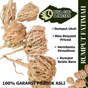 Herbal Rumput Fatimah Asli Saudi Arabia Untuk Melancarkan Persalinan best quality