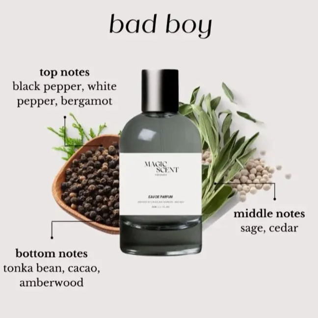 Magic Scent B4d B0y | Perfum Pria | Perfume Magic Scent 2