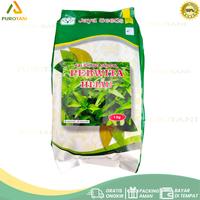 Gambar Benih Kangkung Unggul PERWITA Jaya Seeds Kemasan 1 KG dari PUROTANI.ID Kab. Purworejo 1 Tokopedia