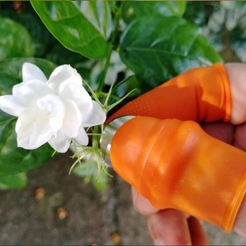 Product Introduction of Farm Vegetable Fruit Picker Pickle Pepper Pickle Tip Picker Iron Nail Pick Grape Picker for Garden Orchard and Vegetable Patch 32