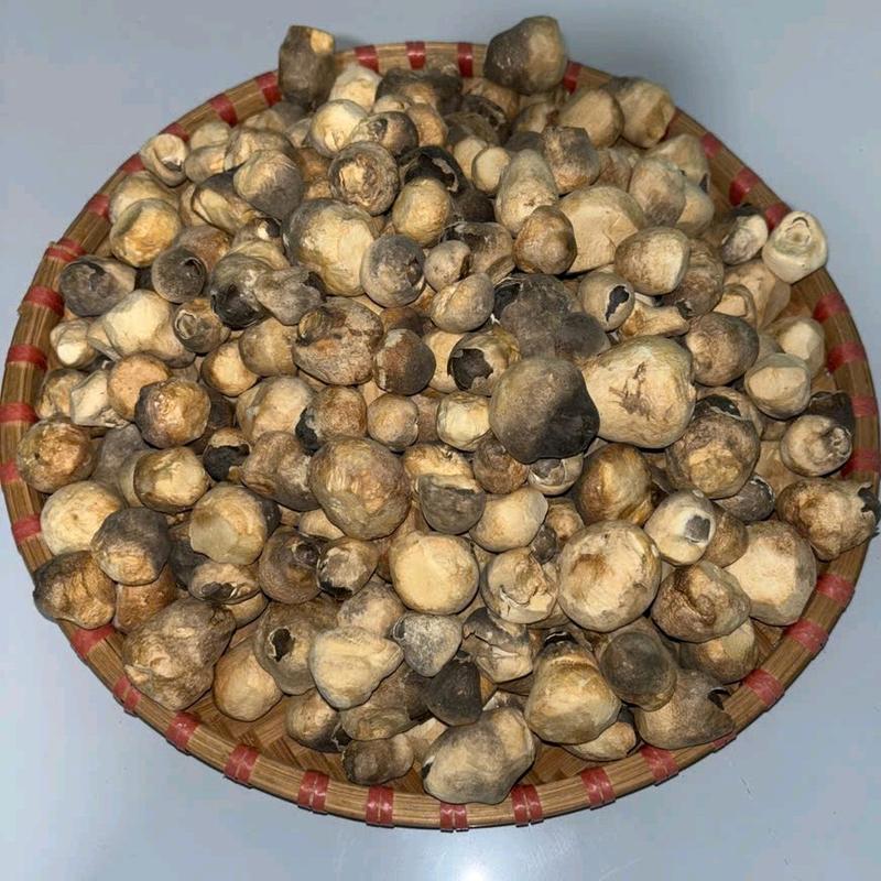 100g Nấm Rơm Mecco Sấy Thăng Hoa 0