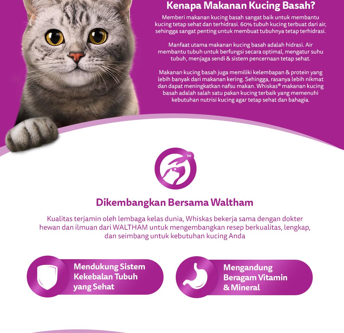 Product detail media - 2