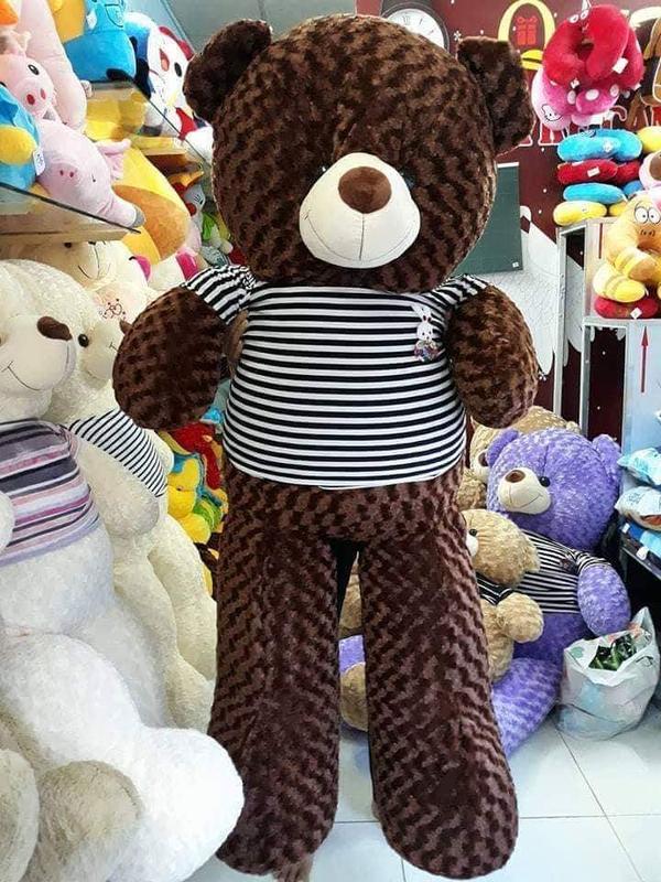 Gấu bông teddy khổ vãi 1M6 cao 1M4