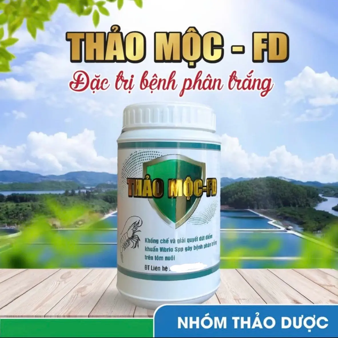 Hủ 500g bột pha nước THẢO MỘC FD dùng để hổ trợ điều tri. tôm bị PHÂN TRẮNG , khống chế và giả quyết khuẩn VIBRIO spp , hieu. quả Sau 3 Ngày sử dụng