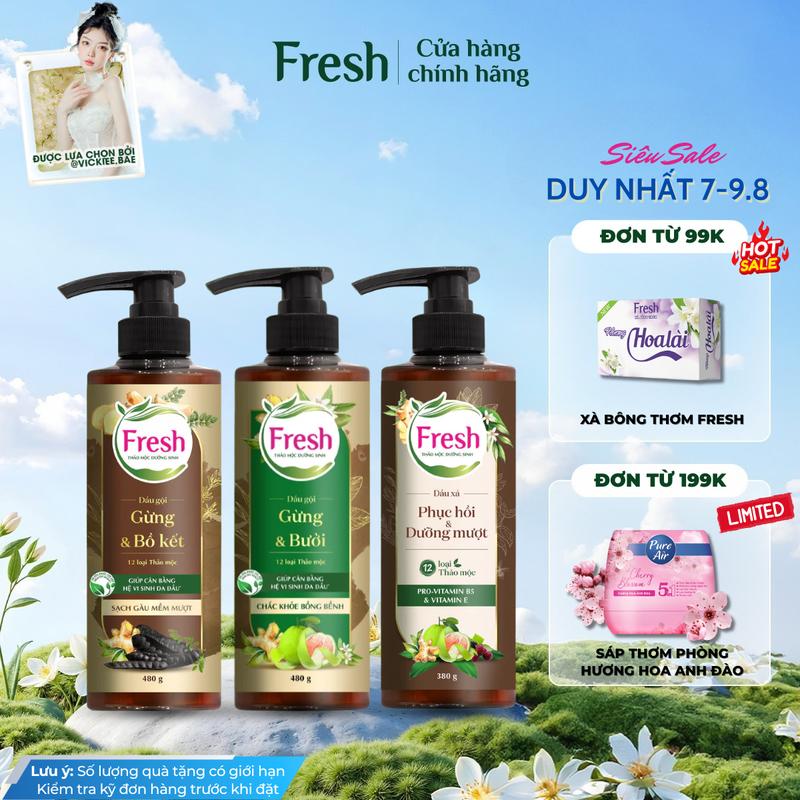 Dầu Gội Và Dầu Xả FRESH Thảo Mộc Dưỡng Sinh Hỗ Trợ Giúp Tóc Giảm Gàu, Mềm Mượt, Chắc Khỏe, Bồng Bềnh