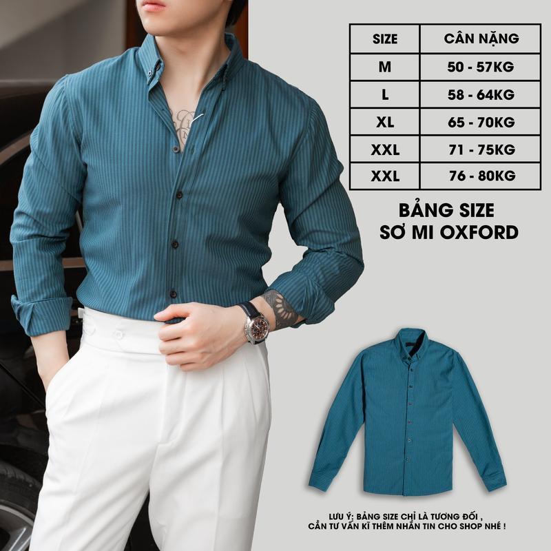 Sơ Mi Kẻ Oxford Luxury Cổ Ghim Cho Nam, Chất Vải Dày Dặn, Đứng Form. (TV-01) 5