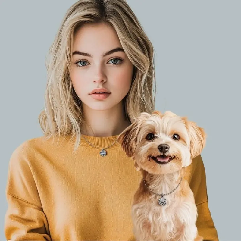 Pet & Owner Same Necklace, 2 Counts/set Fashionable Full Diamonds Sports Necklace, Adjustable Length Pet Neck Accessories, Small and Medium Dogs and Cats, Pet Daily Wear Necklace 2