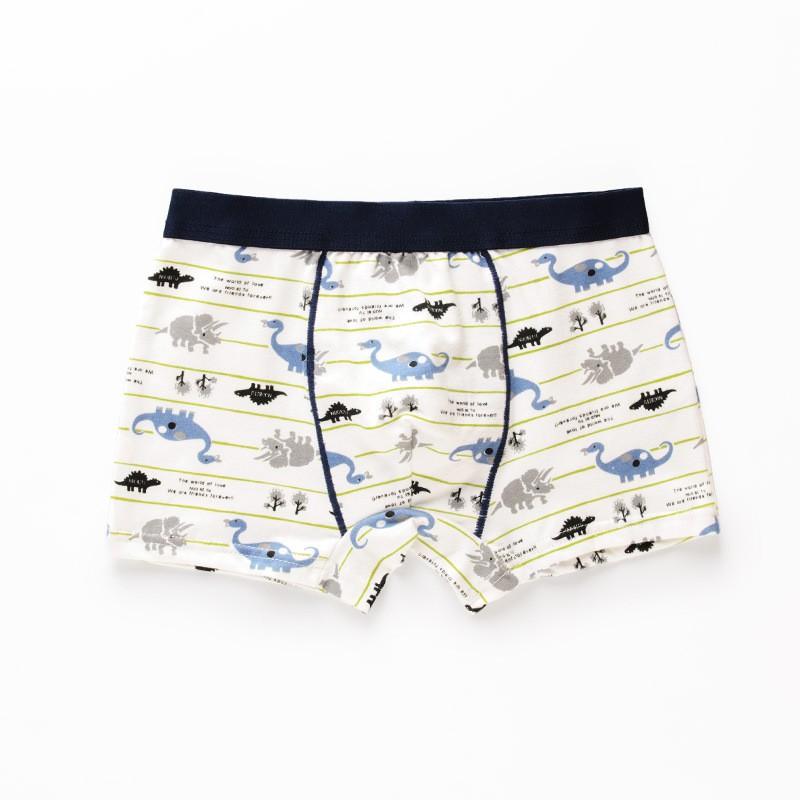 Quần lót bé trai cao cấp HIKITOKIDS Combo 5 quần CB05 4