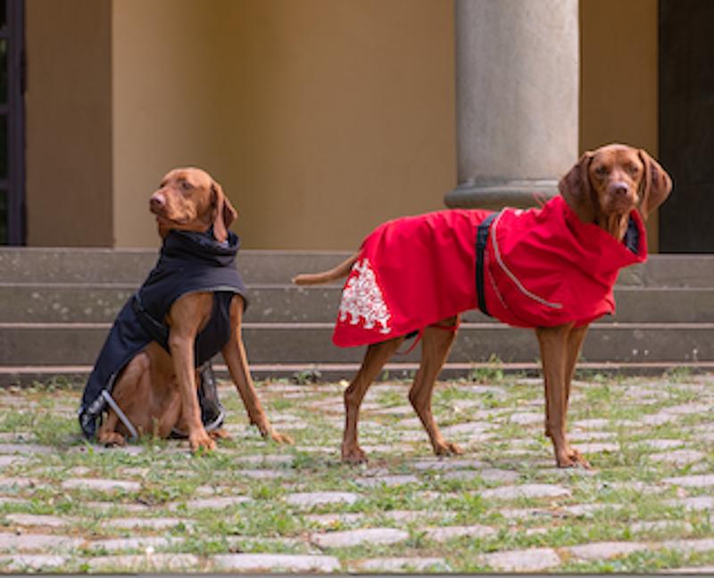 iEnergy LUN Water-Resistant Jacket for Dogs - Warm and Insulated for Cold and Wet Weather 2
