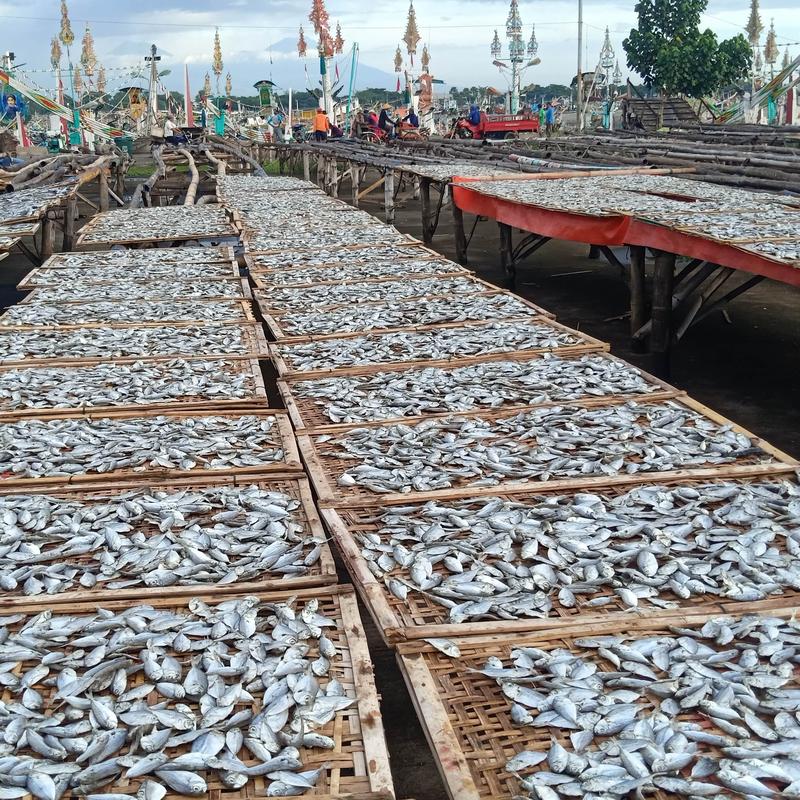 IKAN PETEK / PEPETEK ASIN 100/250/500 gram Laut Fish 4