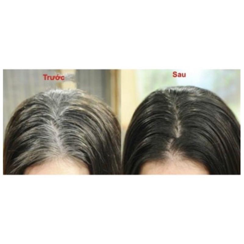 SHITINSOF - Dầu gội nhuộm tóc đen và nâu thảo dược 3