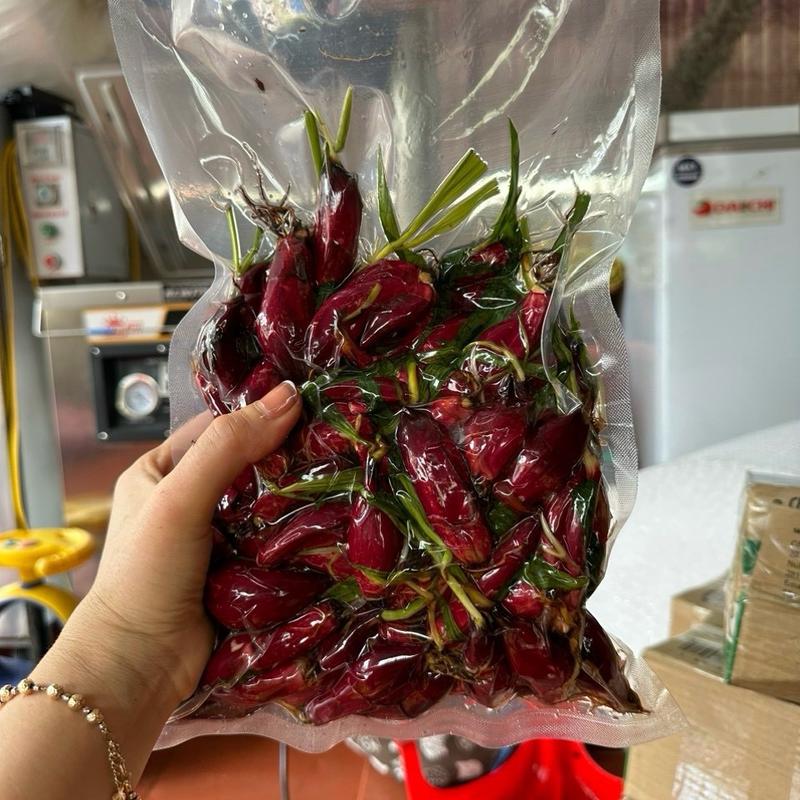Trà sâm đại hành núi đỏ 1 kg 2