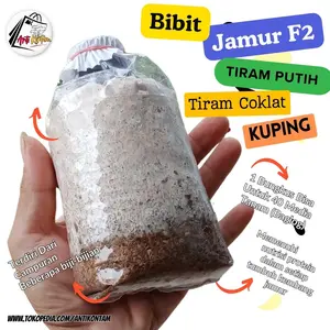 Variasi 3 Jenis Bibit Jamur F2 Tiram Putih -Tiram Coklat - Jamur Kuping Kemasan Plastik Benih Tanaman Jamur