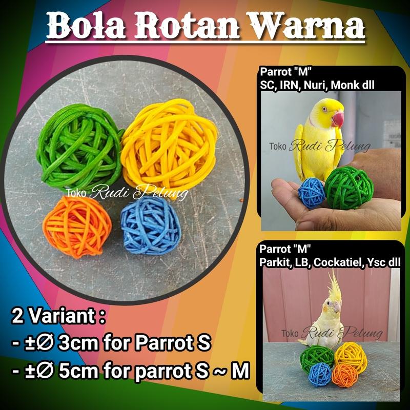 Product Introduction of alat latih bola rotan mainan burung parrot dan alat latih 1