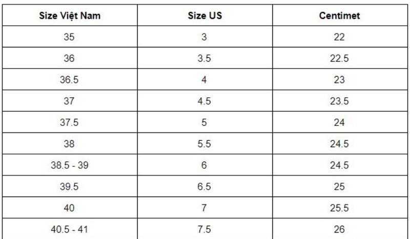 Product Introduction of Combo 2 đôi giày sục nơ nâu ( tăng 1 sz chân mập ) 0