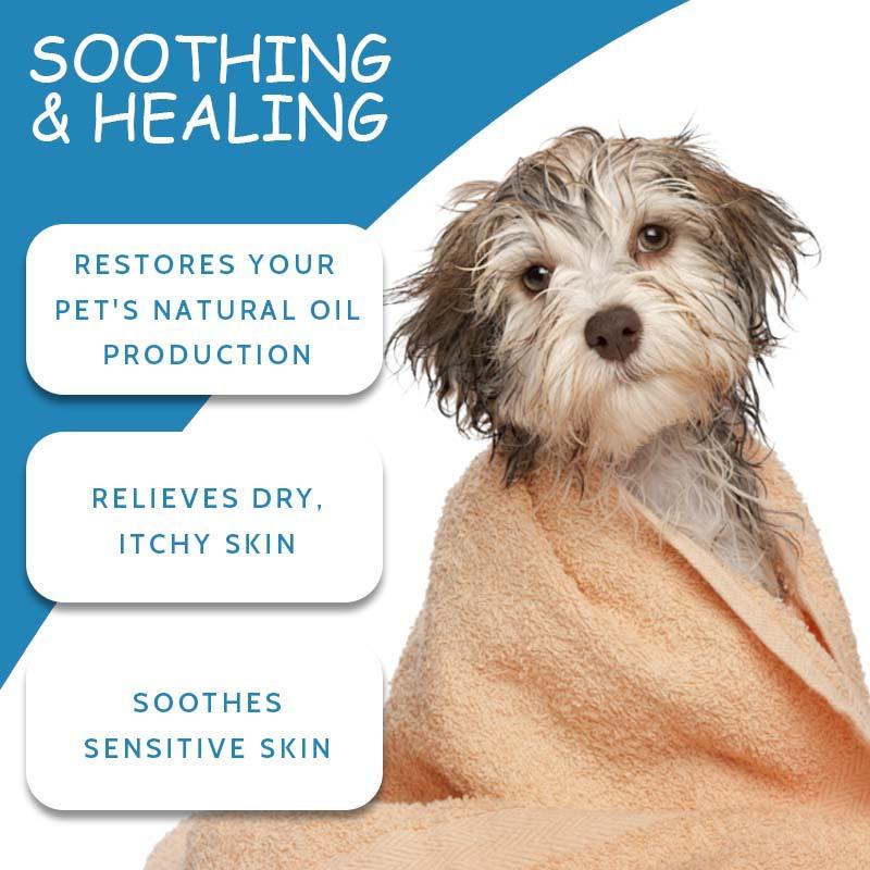 Product Introduction of [Ready Stock & Cod] 3PCs Pet Dog Shower Gel Cleaning Deodorant Lasting Fragrance Sterilization Mite Removal Dog Cat Bath Bath Shampoo 3