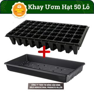 Khay Ươm Hạt Giống 50 Lỗ Kích Thước 55*30*5.5 cm , Vỉ Ươm Giúp Cho Hạt Nảy Mầm Tốt - Nông Sản Vàng 3