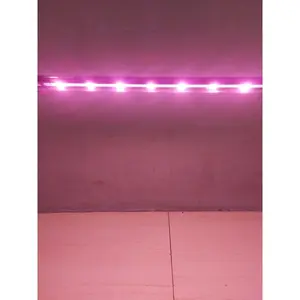 LAMPU CELUP AQUARIUM WARNA MERAH / PINK 20 30 40 50 60cm