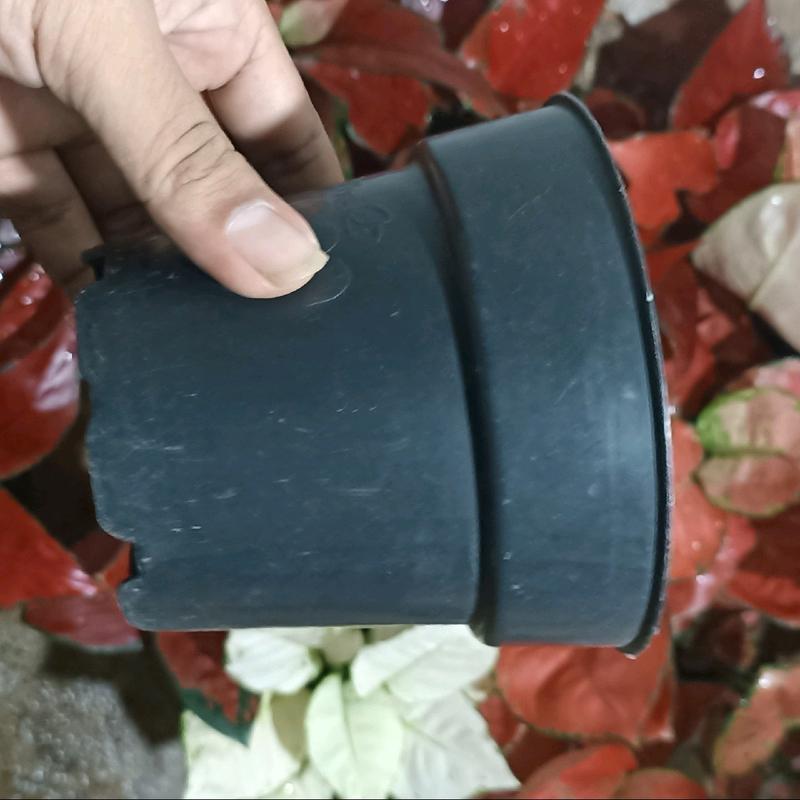 pot hitam harga 110-190 4