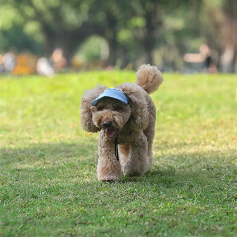 Adjustable Pet Dog Travel Cute Baseball Hat Sun Cap Visor Hat with Ear Holes Outdoor Sport Pet Supplies Does not apply shelly  dog  jumper 4