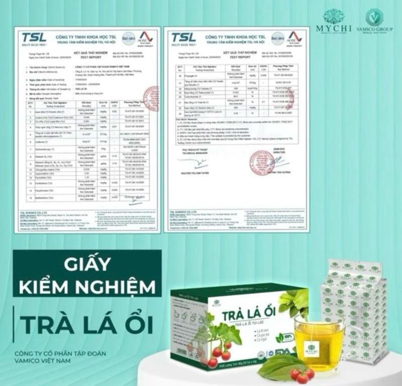 Product Introduction of Combo 2 hộp trà lá ổi MyChi 60 túi lọc thiên nhiên 4