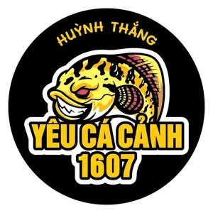 Yêu Cá Cảnh 1607