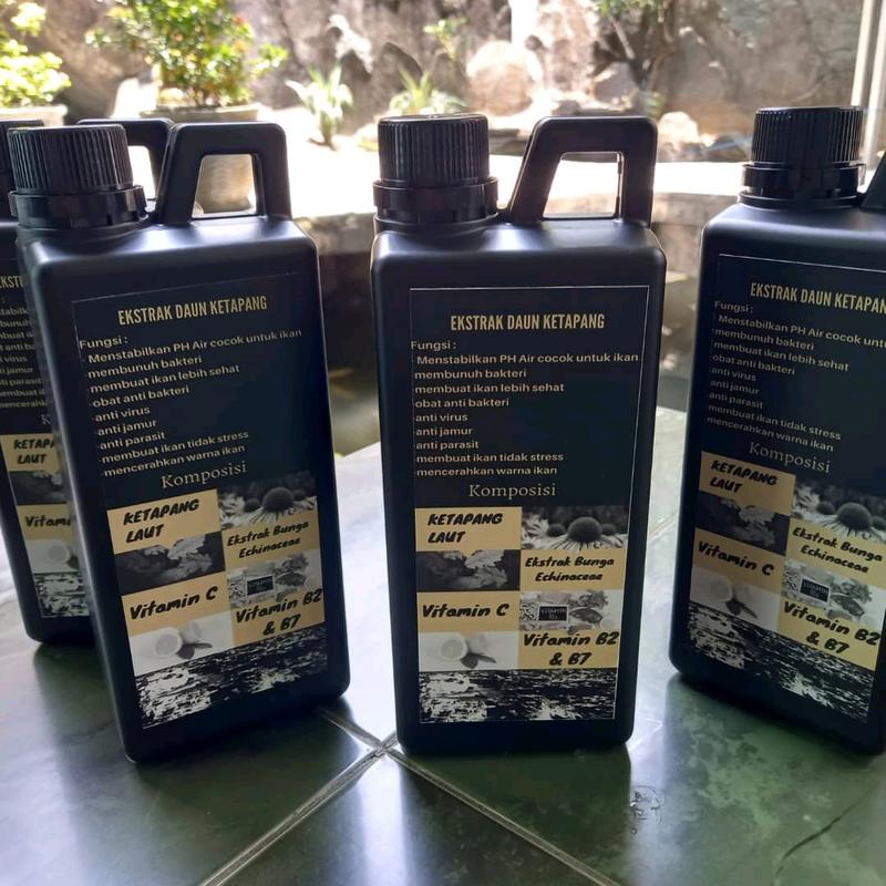 Ekstrak Ketapang Laut 1 Liter 4