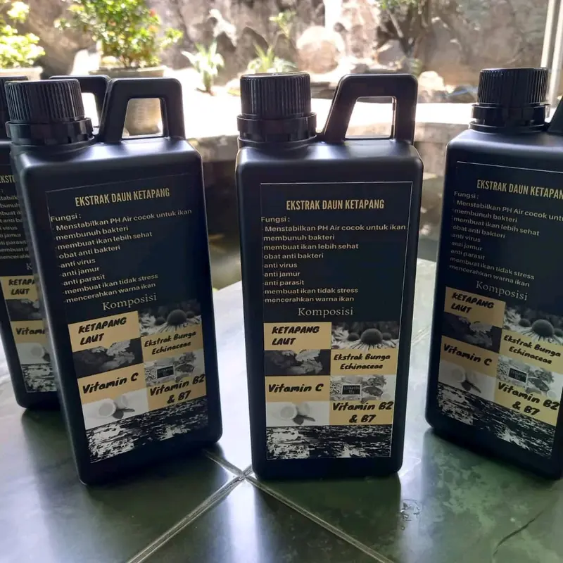 Ekstrak Ketapang Laut 1 Liter 4