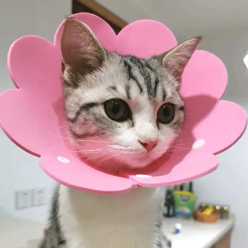 Cute Pet Protective Collars for Dogs Cats Wound Healing Protection Dog Cat Collars Anti-Bite Neck Cone Recovery Circle harness 2  1 dog  collar pet  collar hands  free