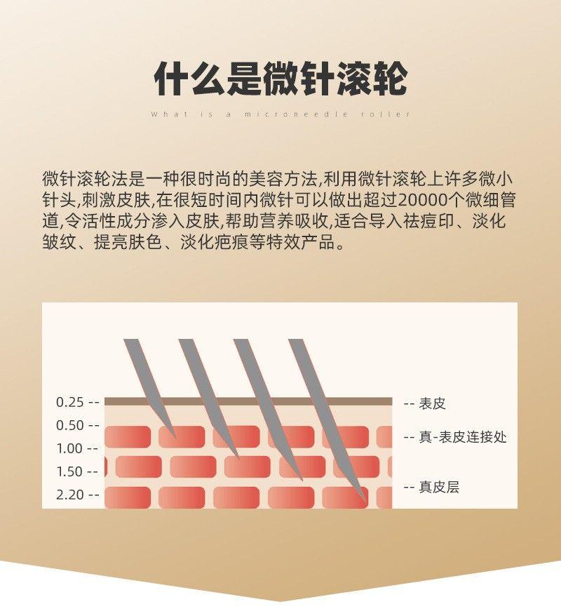 Product Introduction of Con Lăn Kim Y Tế, Con Lăn Kim Nhập Khẩu, Con Lăn Đầu Con Lăn Kim Siêu Nhỏ Thích Hợp Cho Thẩm Mỹ Viện Và Sử Dụng Cá Nhân, Để Tóc Mọc, Mặt Và Cơ Thể, 2024 5