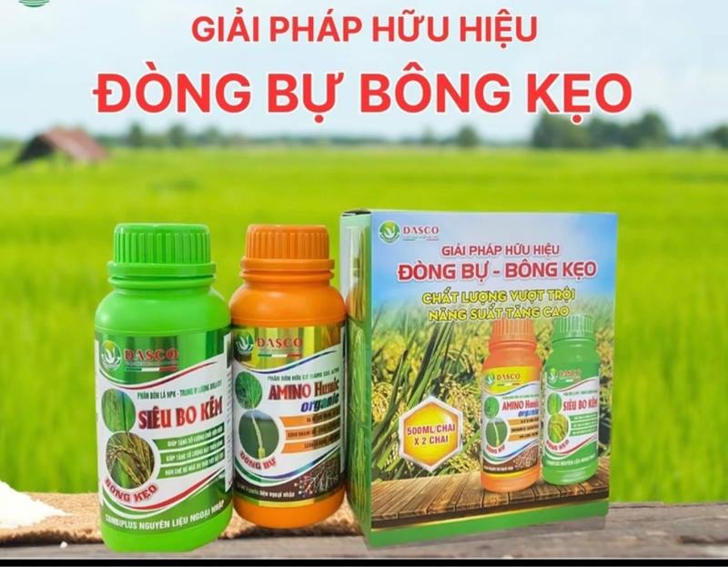 Product Introduction of PHÂN BÓN CẶP ĐÔI GIẢI PHÁP ĐÒNG BỰ BÔNG KẸO- Giúp đòng to, cứng cây, xanh lá, dày lá, ra rễ mạnh,đẻ nhánh nở bụi to, tăng số lượng hạt, chắc hạt tới cậy - 2 chai 500mlx500ml 10